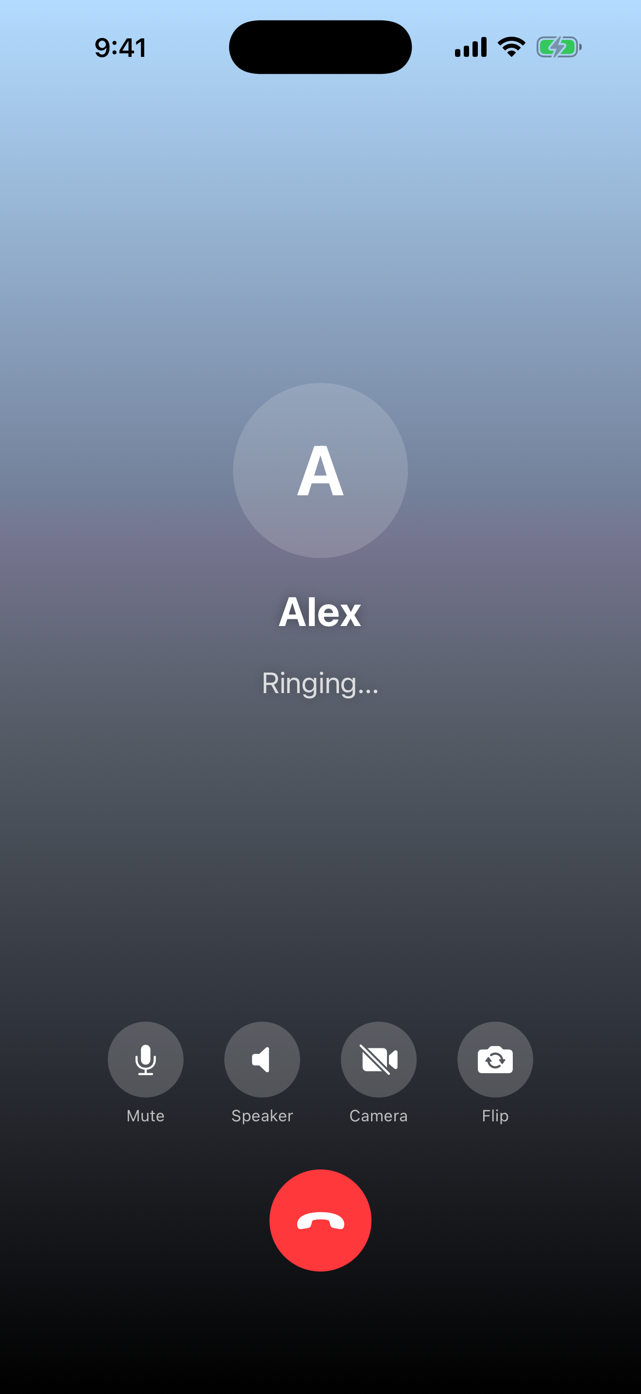A video call in Dialr